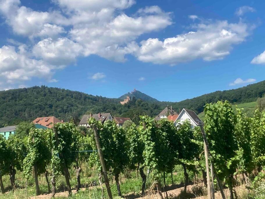 Le Belvedere Alsacien セレスタ エクステリア 写真